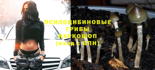 мет Майский