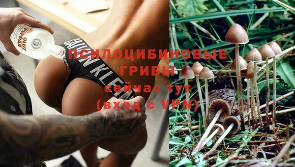 мяу мяу кристалл Магас