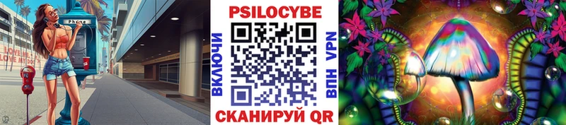 Псилоцибиновые грибы Psilocybe  нарко площадка официальный сайт  Щучье  блэк спрут рабочий сайт 